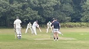 Image result for Whiteley Village Cricket Club