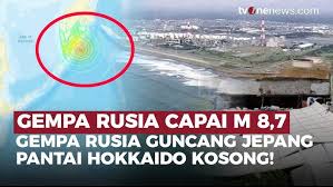 Hasil gambar untuk tsunami jepang