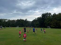 Image result for Chiddingfold Youth Fc