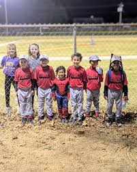 Image result for Spring View Community Sports Association