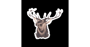 Image result for Alcester & Ragley CC