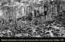 The Geologic Column