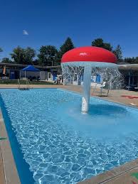 Image result for Fleetwood and District Swimming Club