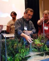 Znalezione obrazy dla zapytania takashi amano%