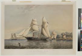 Image result for Xarifa