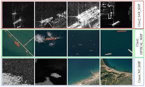 Attēlu rezultāti vaicājumam “Conardia compacta macro”