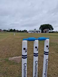 Image result for Chulmleigh & Mid Devon Cricket Club
