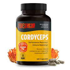 Attēlu rezultāti vaicājumam “Cordyceps”