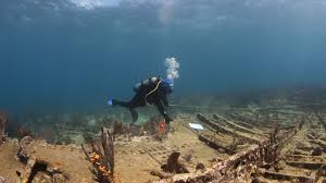 Image result for Duchy Divers