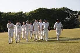Image result for Ivybridge Cricket Club