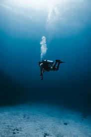 Image result for Deep Blue Diving