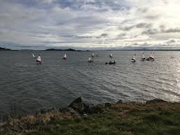 Image result for Dalgety Bay Sailing Club