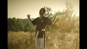 Image result for Yoseikan Budo England