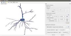 Frontiers | NeuroEditor: a tool to edit and visualize neuronal ...