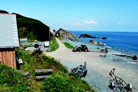 Image result for Stortford Divers