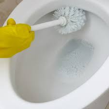 Image result for Brush Bowls & Sports Club