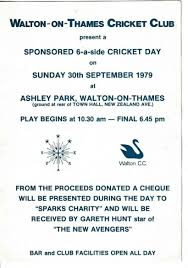 Image result for Walton-On-Thames Cricket Club