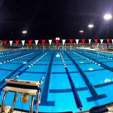 Image result for Derby Phoenix Swimming Club