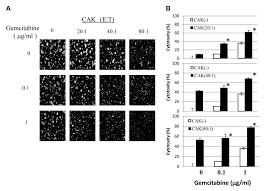 Image result for Hemonetics CCS