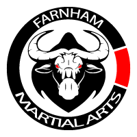 Image result for Farnham Kung Fu Club
