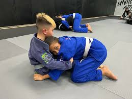 Image result for United Dojos Kickboxing