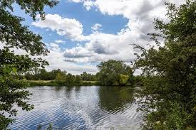 Image result for Cholsey Tennis Club