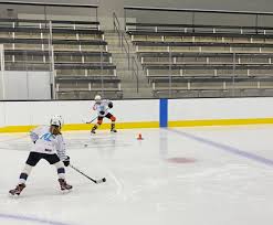 Image result for West Coast Wasps Skater Hockey Club