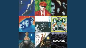 Image result for borte h