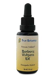 Attēlu rezultāti vaicājumam “Berberis vulgaris”