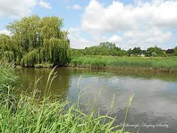 Image result for CALPAC Angling Club