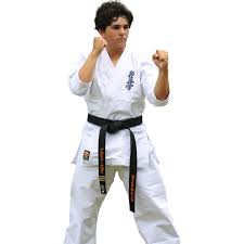 Image result for Kyokushin Karate