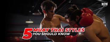 Image result for Kao Loi Thai Boxing