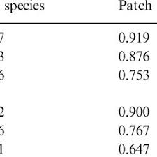 Attēlu rezultāti vaicājumam “Anastrophyllum hellerianum”