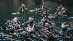 Image result for Seabug Divers