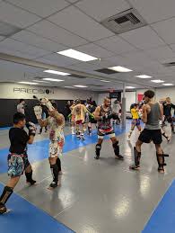 Image result for Precision MMA Mixed Martial Arts Training