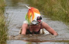 Image result for Bog Snorkelling Championships