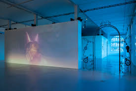 Attēlu rezultāti vaicājumam “Leporida”