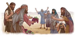 Image result for www.jw.org