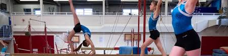 Image result for Forest Of Dean Gymnastics Club