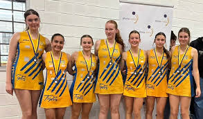 Image result for Willenhall Town Wanderers Netball Club