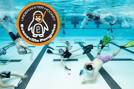 Image result for Caversham Underwater Hockey Club