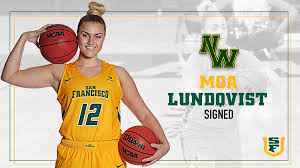 Image result for Nottingham Wildcats