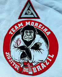 Image result for Renrukan school of continuous attack