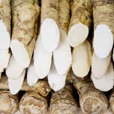 Attēlu rezultāti vaicājumam “Armoracia rusticana bud”