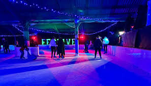 Image result for Milton Keynes Ice Skating Club