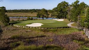 Image result for Dolphina Gc