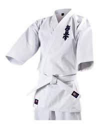 Image result for Kyokushin Karate