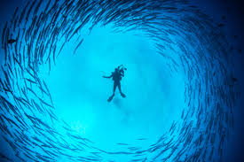 Image result for Tornado Divers