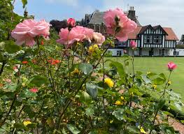 Image result for Marchmount Bowling Club