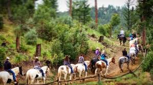 Image result for Cliff Hatch Stables